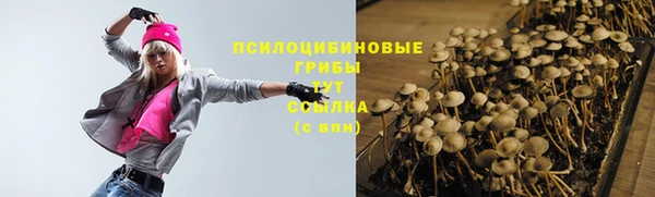 гидра Нязепетровск