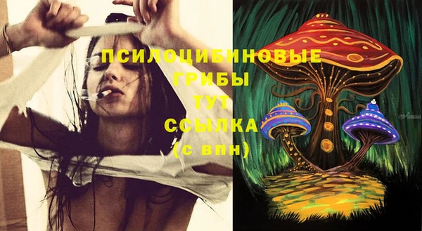 MDMA Новодвинск