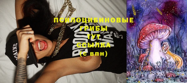 гидра Нягань