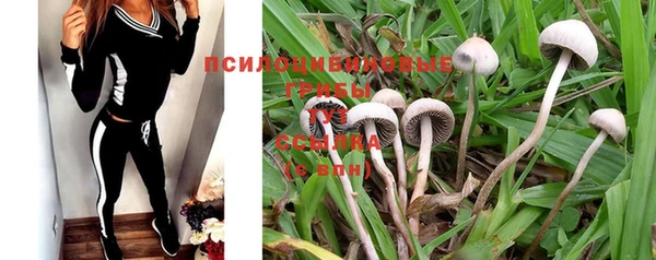 MDMA Новодвинск