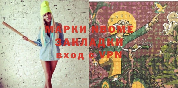 дмт Новозыбков