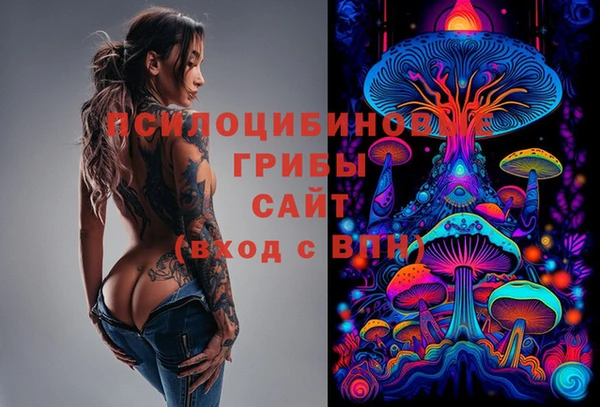 дмт Новозыбков